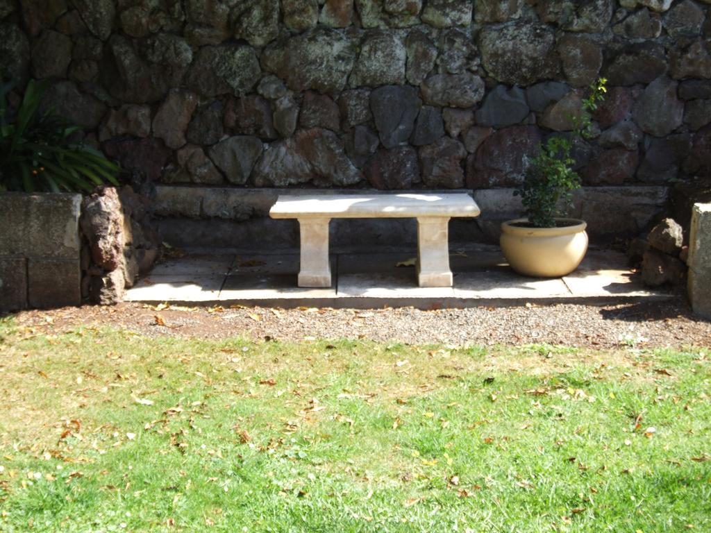 The Quiet Quarter Bed and Breakfast Όκλαντ Εξωτερικό φωτογραφία